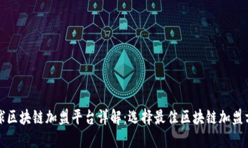 全球区块链加盟平台详解：选择最佳区块链加盟方案