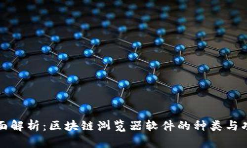 全面解析：区块链浏览器软件的种类与功能